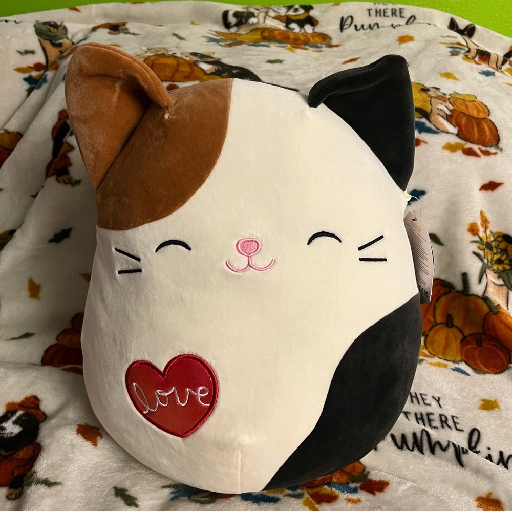 Squishmallow Cam NWT